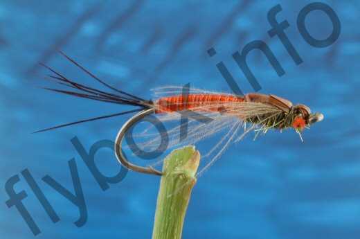 Fish4Flies Bell's Nymph